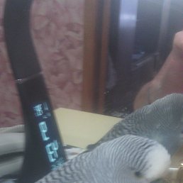 ���� �������, ����������, 64 ���� - ��������� 30 ���� 2022