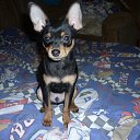 ���� ����, ������������, 51 ��� - ��������� 15 ������ 2023