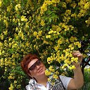 ���� ����, ����, 55 ��� - ��������� 5 ��� 2022 � ������ ���� ����������