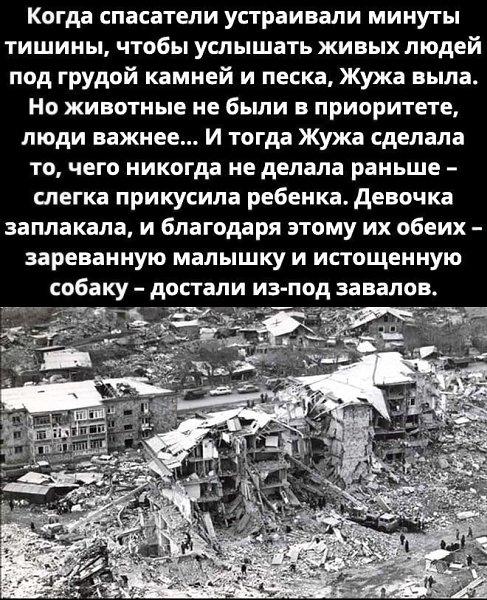 ac py ea - ya. - 2