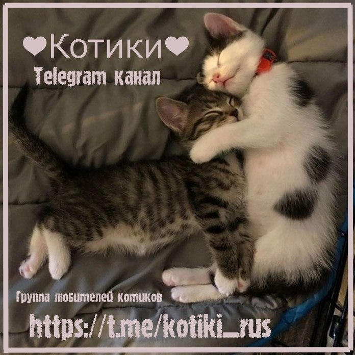 Re Lukas*151  - 14  2022  23:12