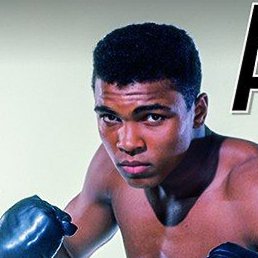 ����, �������, 33 ����