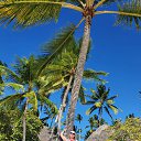 ���� ����, ���� - ��������� 4 ��� 2022 � ������ ���� ����������