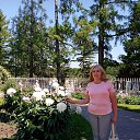  , , 56  -  29  2022   - 2022