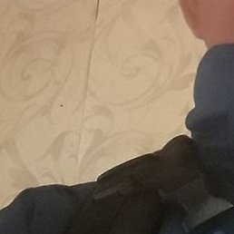 ������, ������, 51 ���