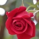 ���� �������., ������, 60 ��� - ��������� 30 ������ 2022