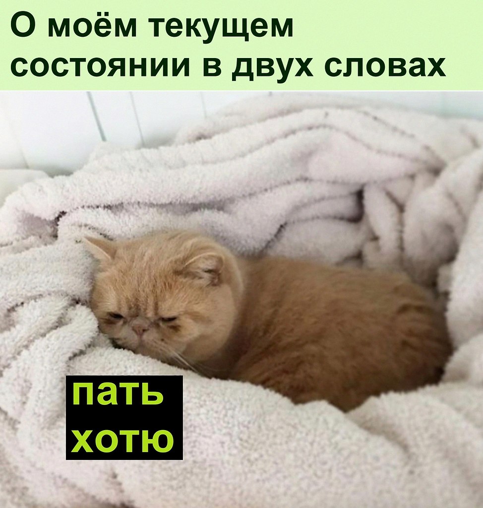 ������ ��������� :D - 23 ������� 2022 � 10:37