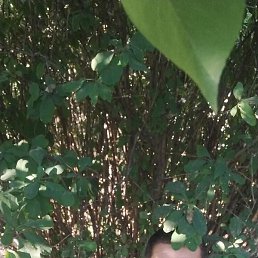 Elad, ����, 40 ���