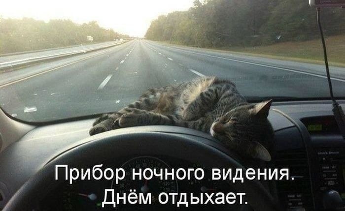    - 6  2022  16:21