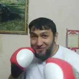 ����, �����-���������, 45 ���