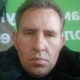 ��������, ������, 50 ���