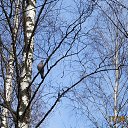 ���� ��������, Kouvola, 78 ��� - ��������� 17 ������ 2022 � ������ ������