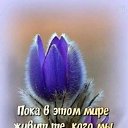 ���� ��������� �������, ������, 72 ���� - ��������� 27 ������ 2022 � ������ ������ ��������