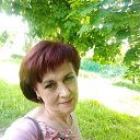 ���� �������, ����-50 - ��������� 8 ������� 2022 � ������ ���� ����������