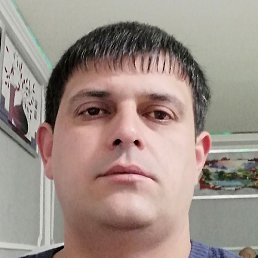 �����, ������, 41 ���