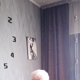 ���� ������, ������, 56 ��� - ��������� 14 ������� 2022