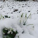 ���� �������, ����, 48 ��� - ��������� 27 ����� 2022