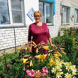 �������, ������, 62 ����