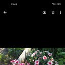 ���� ���������, ��������, 68 ��� - ��������� 25 �������� 2022 � ������ ���� ����������