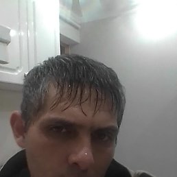 , 40 , 