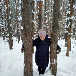 �������, ������, 68 ���