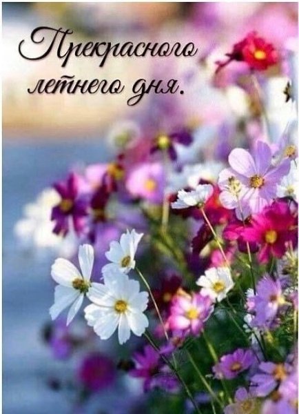   ,    . - 24  2022  14:37