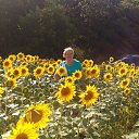 ���� ���������, ������ ��������, 66 ��� - ��������� 9 ������� 2022 � ������ ���� ����������