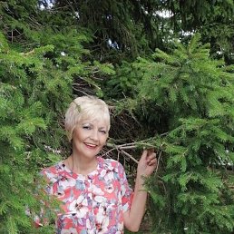 ���� �������, ���������� - ��������� 7 ������� 2022