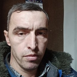 �����, ������, 40 ���