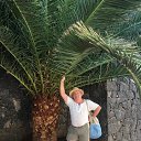 ���� ����, �����, 66 ��� - ��������� 1 ������� 2022