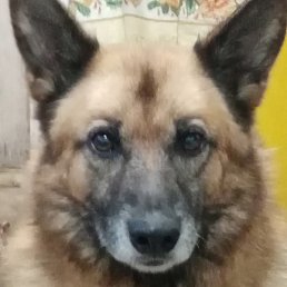 ������, �������, 59 ���