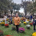���� �������, �������, 66 ��� - ��������� 17 ������� 2022 � ������ ���� ����������