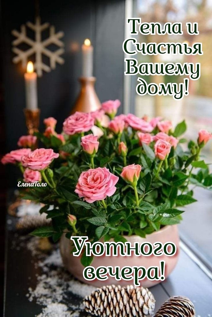   ! - 6  2022  18:27