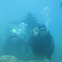 ���� �������, ������, 67 ��� - ��������� 5 ������� 2023 � ������ ���� ����������