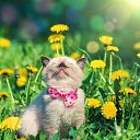 ���� 9 ��� �����- ����!!!, ��������� - ��������� 31 ������� 2022 � ������ ����� � *�����*...�