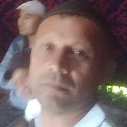 �����, ������, 41 ���