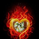 ���� Razin, �����, 51 ��� - ��������� 21 ���� 2022 � ������ ���� ����������