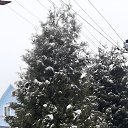 ���� �.�.�, ������, 73 ���� - ��������� 11 ������� 2023 � ������ ���� ����������