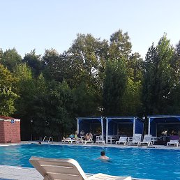 Orxan, ����, 29 ���