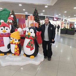 ������, �����������, 46 ���