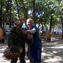 �������, �����, 43 ����