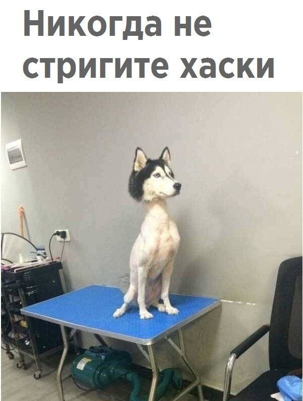 ���� �� �����