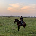 ���� ������, �������, 31 ��� - ��������� 13 �������� 2022 � ������ ���� ����������