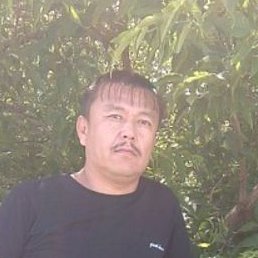 �����, ������, 50 ���