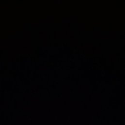 ������, ������, 51 ���