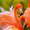 ���� ������, ���������, 47 ��� - ��������� 3 ���� 2022 � ������ ���� ����������