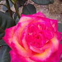 ���� �����, �������� - ��������� 6 ������� 2022 � ������ ������ ��������