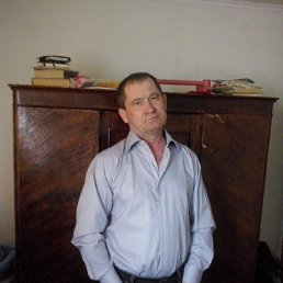 ��������, �������, 37 ���