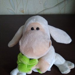 ���� �������, �����, 61 ��� - ��������� 27 ������ 2022