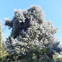 ���� ������, �����-���������, 53 ���� - ��������� 23 �������� 2022 � ������ ������ 2022�